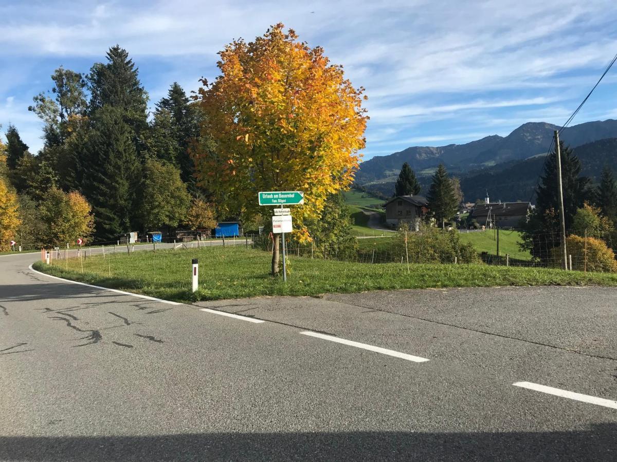 西提索Bauernhof Bilgeri别墅 外观 照片