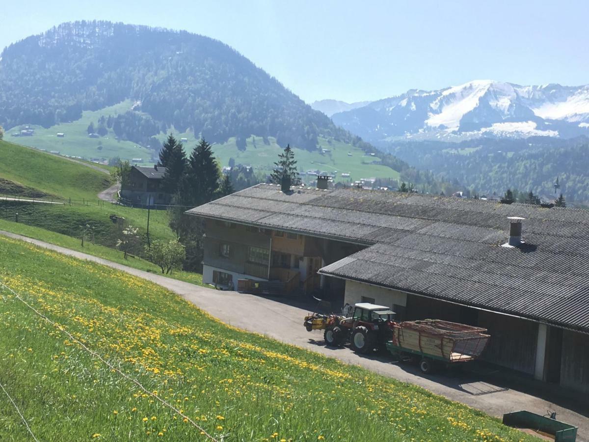 西提索Bauernhof Bilgeri别墅 外观 照片